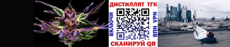 где можно купить   Минусинск  ТГК концентрат 